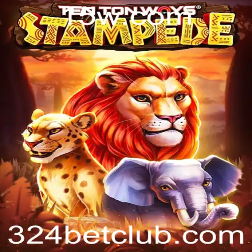 324bet Bingo online